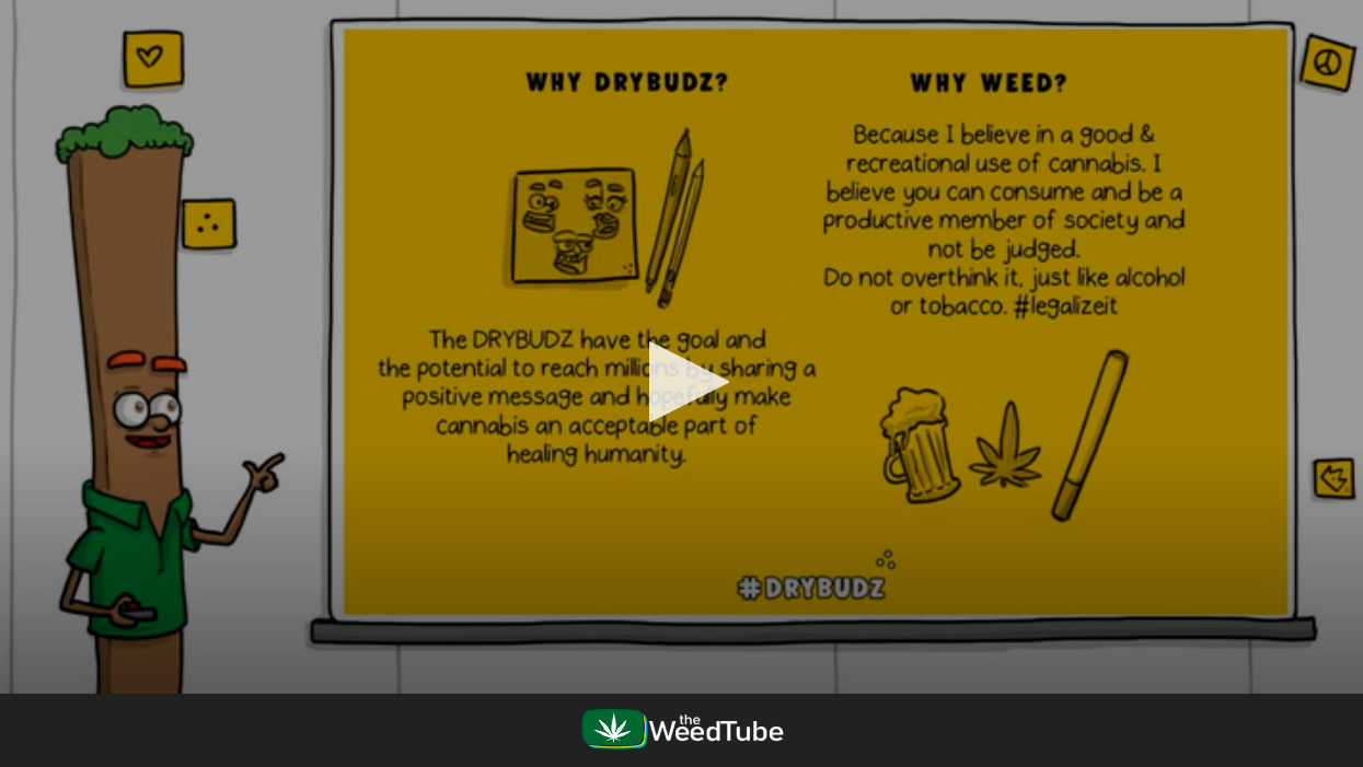 Weedtube Video Image Link