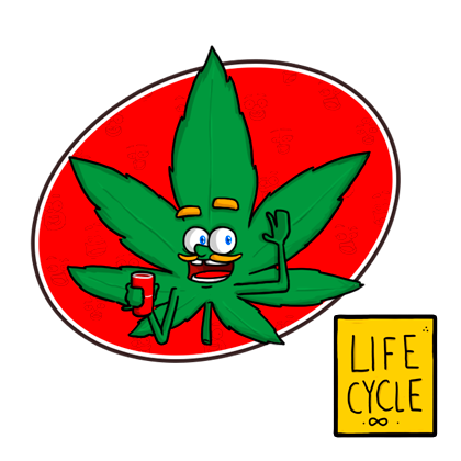 #DRYBUDZ Life Cycle